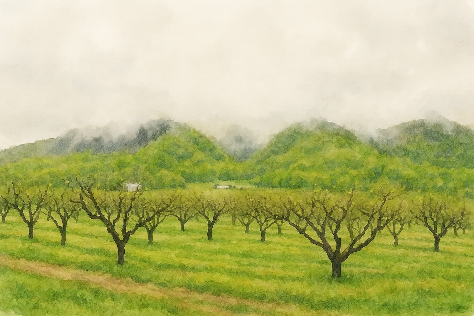 Поездка к морю: Анапа, Большой Утриш, Геленджик, Горячий Ключ