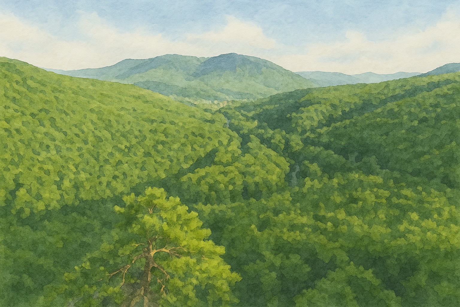 Планческие скалы