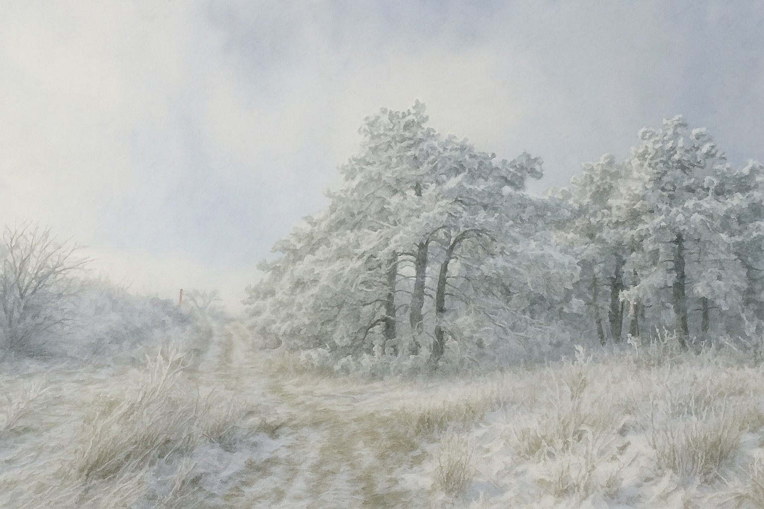 Новороссийск и Большой Утриш