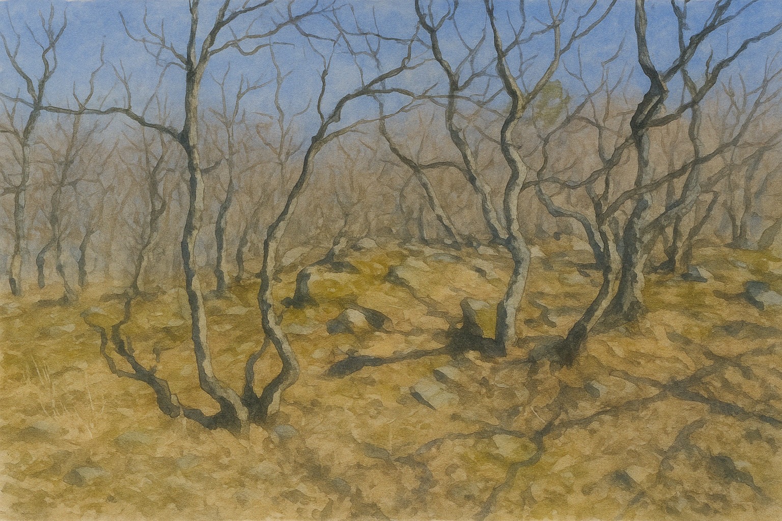 Прогулка под Убинкой