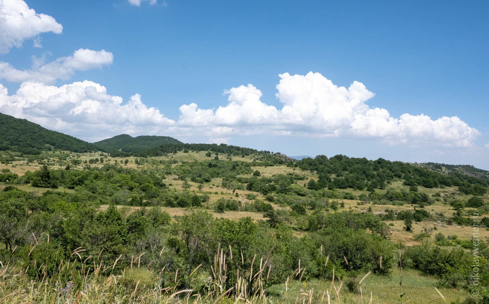 Лесостепь на склонах Арагаца