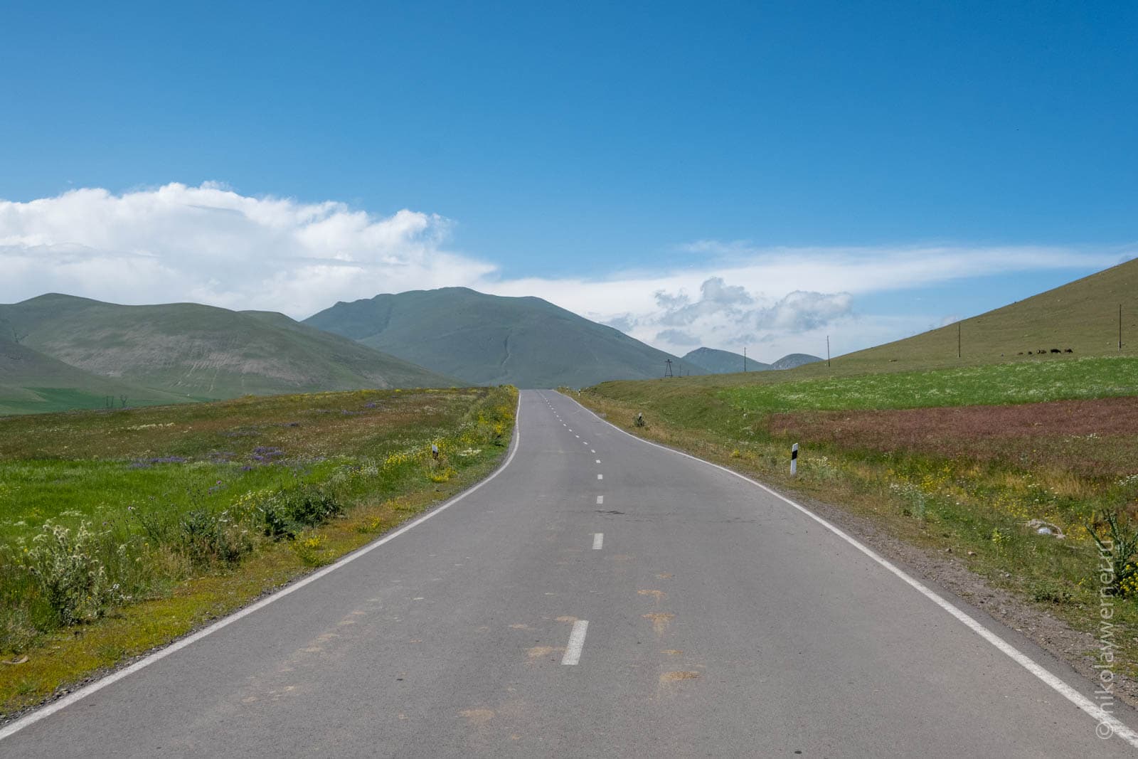 Шоссе к деревне Сипан. Полоса асфальта среди цветущего поля. Горы вдалеке