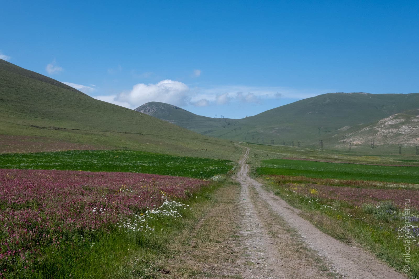 Полевая дорога на южных подходах к Спитакскому перевалу
