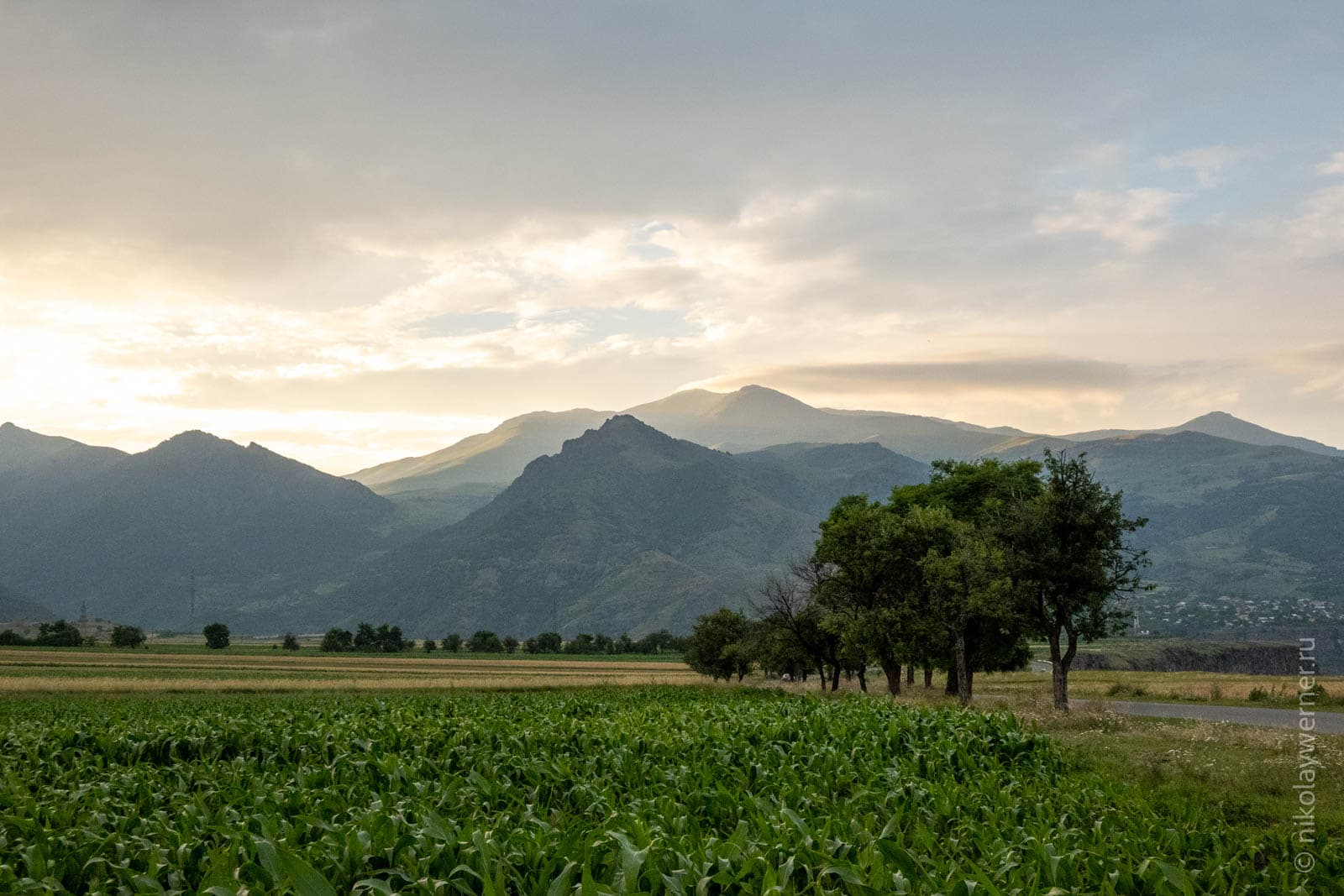Поле у края каньона реки Дебеда