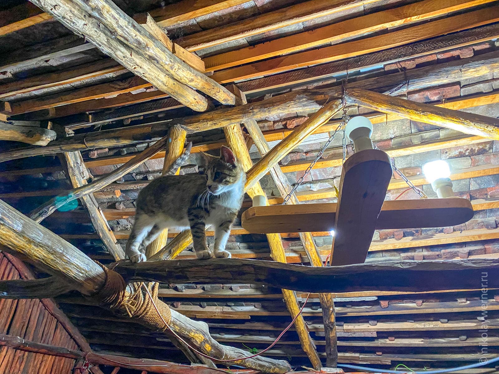 Жилые кварталы Алаверди