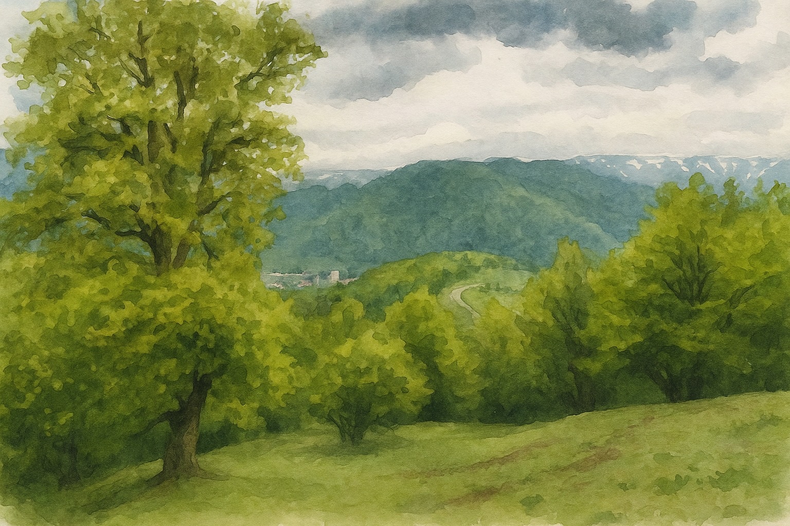 Дилижанские хайки. Дошли до вершины 2115